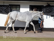 NH051025-20 - The Carpenter